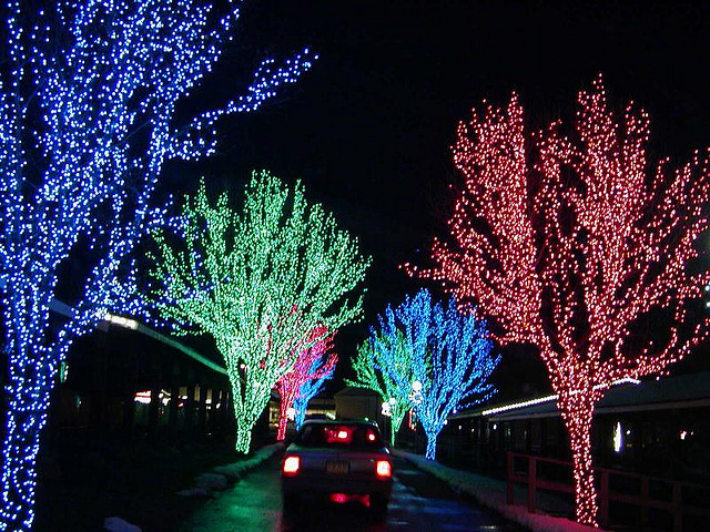 A street at night, with the trees lit up in different colored lights for the holidays.