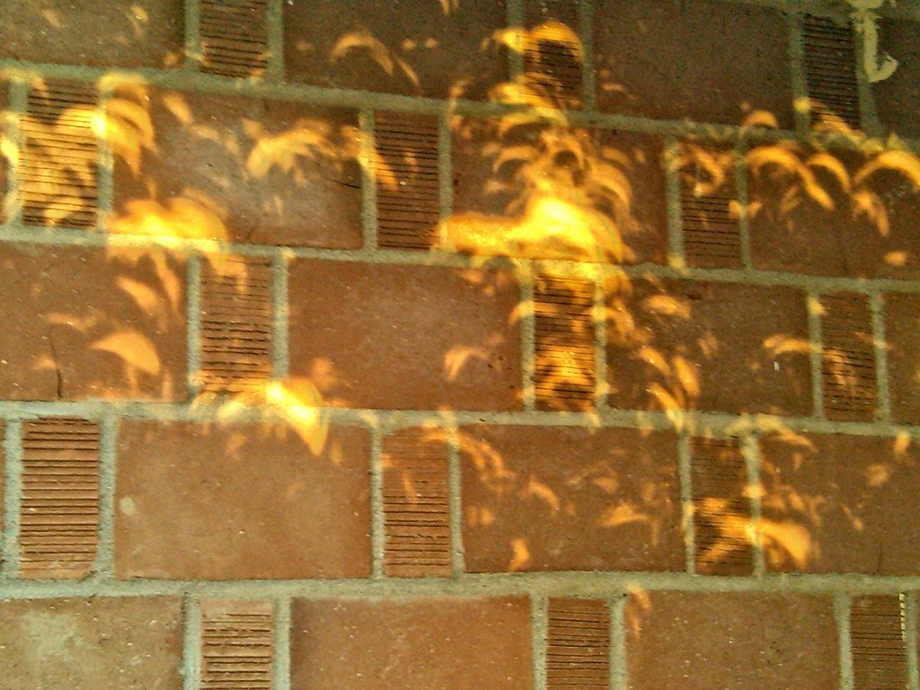 Reflections of Ghosts of the Eclipse
